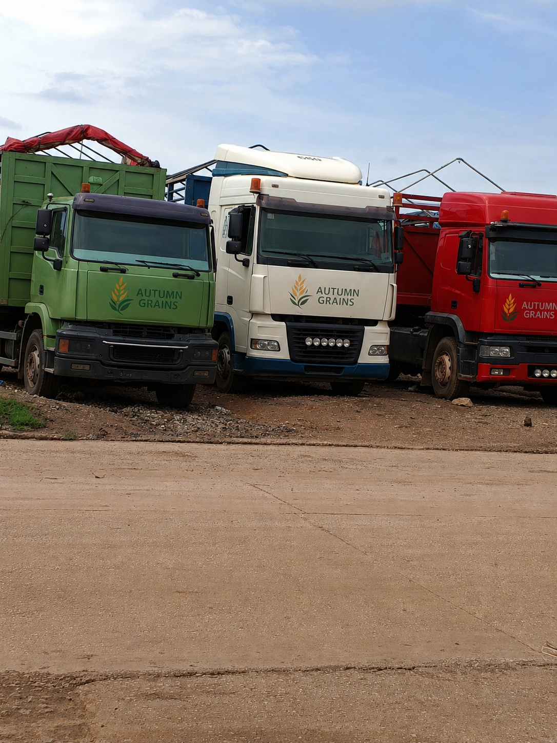 Autumn Grains branded haulage trucks parked at the company yard in Agwa, Kaduna